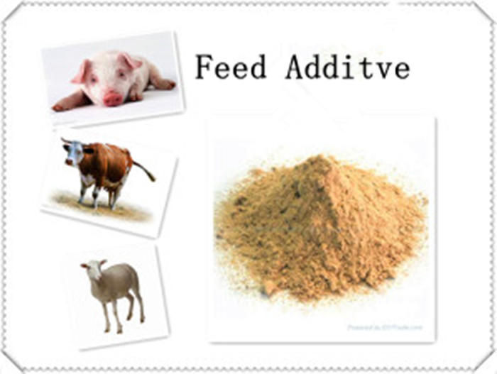 Nutricorn-98-5-L-Lizīns-Feed-Additive-with-High-Quality.jpg Nutricorn-98-5-L-Lysine-Feed-Additive-with-High-Quality.jpg
